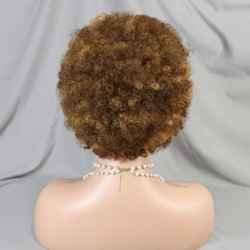 Shine Hair 13x4 Lace Frontal Afro Curly 5 Colors Bob Braided Hair Wig Human Hair