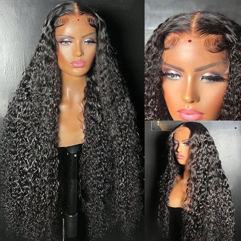 13*6*1 T Part Lace Wig Brazilian Curly Wave Human Hair Wigs High Density - SHINE HAIR WIG