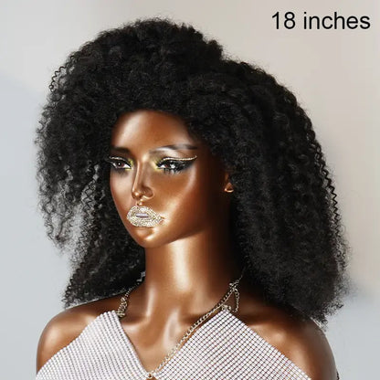 13x4 Glueless Kinky Edges Kinky Curly Frontal Wig 2 Styles